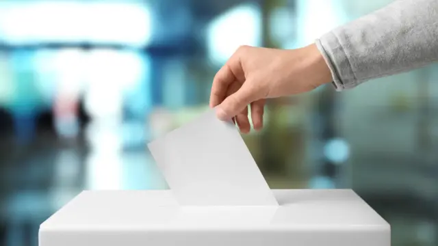 LR Seimo rinkimai 2024 Sėlos rytinė